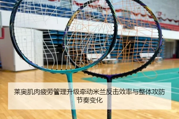 lai-ao-ji-rou-pi-lao-guan-li-sheng-ji-qian-dong-mi-lan-fan-ji-xiao-lv-yu-zheng-ti-gong-fang-jie-zou-bian-hua-2-176.jpg